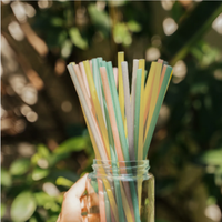 Pailles jetables biodégradables de 8mm pour le budget Paille durable pour plantes Smoothie Jus Shakes Hôtels Restaurants Personnalisé