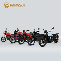 Moto Électrique Tout-Terrain 72V, Longue Distance 250 km, Moto Cargo avec Puissance 3000W, Vitesse Maximale 80 km/h pour Conditions Africaines