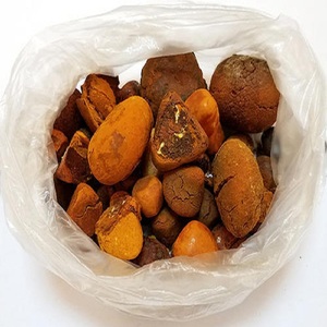 Wholesale <b>OX</b> Gallstones Cattle <b>OX</b> Gallstones Cow Gallstones - Product Image 6