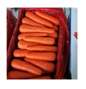 80-150克新鲜胡萝卜供应商价格便宜