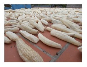 Luffa vegetal natural de alta calidad de Vietnam-Mejor precio Luffa 100% Natural barato con estándar de exportación - Product Image 4