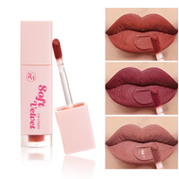 Gloss à lèvres personnalisé, ingrédients liquides à base de plantes, marque privée, végan, hydratant, mat, longue durée, imperméable, formule anti-adhésive, logo