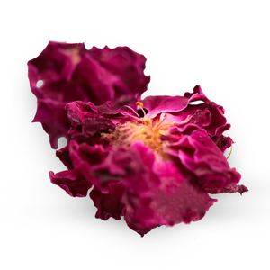Fleur de rose hybride rouge séchée, qualité A, durée de conservation de 3 ans - Product Image 1