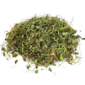 ใบแห้งโกตูโกลาเกรดพรีเมี่ยมใบแห้งใบบัวบก - Product Image 3