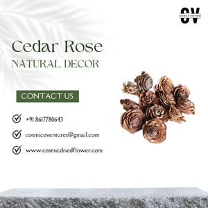 Rosas de Cedro Secas Hechas a Mano, Ecológicas, de Buena Calidad, al por Mayor, para Popurrí, Manualidades, Graduación, Día del Padre, Halloween - Product Image 3