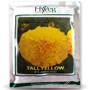 เมล็ดพันธุ์ดอกดาวเรืองสีเหลืองพันธุ์สูง 1000 เมล็ด ต้นกำเนิดจากอินเดีย - Product Image 1