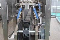 Ligne d'abattage porcin industrielle, équipement complet de transformation du porc, solution personnalisée pour abattoir