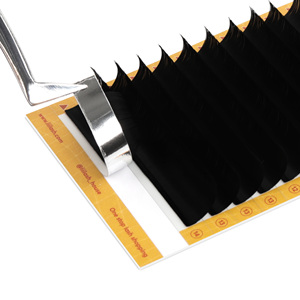 Featherlight easy fan cils 0.03 0.05 0.07 easy auto fan cils marron C CC D DD cils individuels en gros floraison rapide - Product Image 2