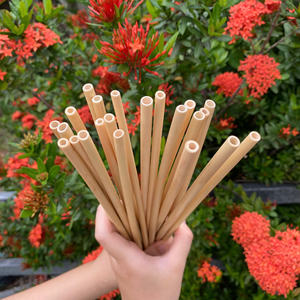 100% pailles en bambou réutilisables biodégradables naturelles pailles jetables à vendre - Product Image 6