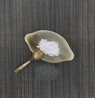 Bol en corne de buffle de haute qualité pour salade et vaisselle, servir avec une cuillère pour la maison et les fêtes, bol en corne de buffle pour la salade
