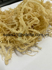 Musgo Marino Morado Silvestre/Musgo Marino Seco de Vietnam/Sra. Lima +84 346565938 - Product Image 6