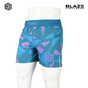 Short de sport MMA pour homme, léger et décontracté, en tissu élastique, avec décoration à bas prix, short d'entraînement Nogi BJJ - Product Image 2