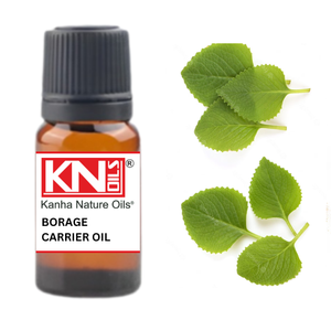 Huile essentielle pure Kanha Nature Oils Huile de transport de bourrache pressée à froid Graines de soin nourrissantes anti-âge de qualité supérieure - Product Image 1