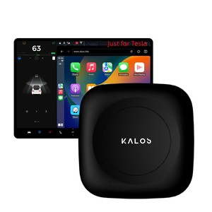 Plug and Play Radio Tesla Universal Carplay Adapter Magic Box Carplay