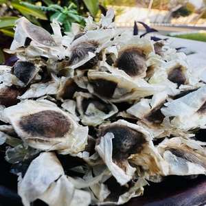 Capsules d'extrait de graines de moringa certifiées ISO de qualité supérieure fabriquées avec des graines séchées cultivées dans la nature - Product Image 5