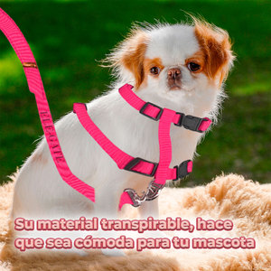 Imbracatura di Lusso per Gatti di Taglia Media con Guinzaglio, Stile Gilet Semplice, Colori Assortiti - Realizzata in Nylon e Poliestere per Animali Domestici di Taglia Grande e XL - Product Image 3