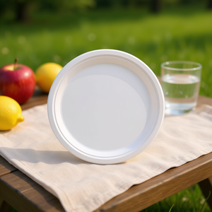 Assiettes et bols jetables ovales écologiques en bagasse 3h Corporation BG-P12100 pour les fêtes - Product Image 2