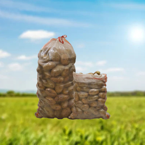 Sacs en plastique PP transparents personnalisables Offre Spéciale du Vietnam 15/25/50kg étanches à l'humidité pour l'impression Flexo d'agriculture de pomme de terre - Product Image 2