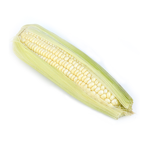 Maïs blanc sucré séché à prix compétitif 50kg par sac 25 tonnes 15 jours Maïs jaune alimentation animale - Product Image 5