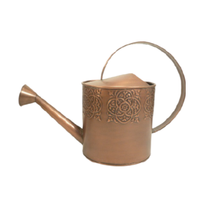 Poudre brune enduite en gros métal canne à eau à la main concepteur arrosoir maison jardin métal eau peut forme personnalisée - Product Image 5