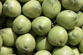 100% Maturity Organic Green Water Coconut a la venta - Product Image 4