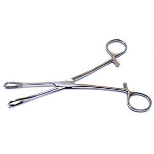 Pince en acier inoxydable à usage unique de haute qualité Foerster éponge courbe droite Instruments chirurgicaux manuels base alimentée haute - Product Image 5