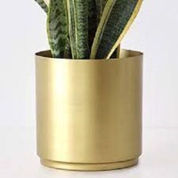 Jardinières architecturales Cache Pot Boîtes et Rectangle Plus Stands Noir pour la décoration intérieure extérieure