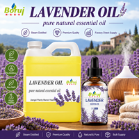 Huile essentielle de lavande en vrac, huile d'aromathérapie pure et naturelle, fournisseur OEM de marques privées