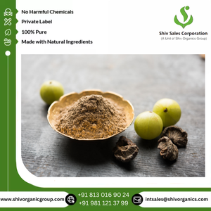 100% pur et naturel qualité supérieure Amla extrait de plantes poudre prix de vente faible approvisionnement en vrac du fournisseur - Product Image 3