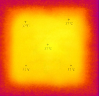 Microscope binoculaire à contraste de phase Novel Industries pour banque de semence, avec plateau chauffant tout en verre Bioterm, résolution caméra 2K, écran LCD, OEM