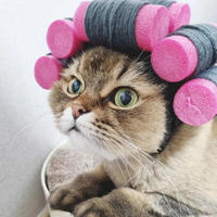 Sombreros de Ganchillo Divertidos para Mascotas, Personalizables al por Mayor, para Disfraces de Halloween, para Perros y Gatos