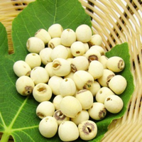 Dont la vente Lutus Seeds à des prix incroyables sur nos meilleures graines, obtenez les vôtres avant qu'elles ne se vendent