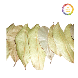 ทุเรียนเทศคุณภาพสูงทำแห้งและทำความสะอาดเพื่อใช้ในการแปรรูปชาบรรจุภัณฑ์ส่วนผสมและช่องทางการส่งออกเชิงพาณิชย์ - Product Image 6