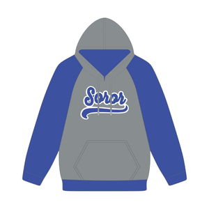 Sudadera con Capucha de Manga Raglán Gris Acero de la Hermandad Zeta Phi Beta, Inspirada en los Fundadores de 1920, Ropa Premium para la Mujer Superior de la Hermandad Griega - Product Image 3