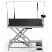 Table de toilettage électrique en acier inoxydable pour animaux de compagnie Équipement de toilettage pour chats et chiens