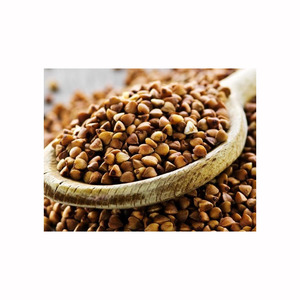 Suministro al por mayor de trigo sarraceno, producto natural, fuente confiable, servicio de entrega oportuna - Product Image 2