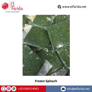 Légumes d'épinards surgelés certifiés IQF de haute qualité Merveilleux délicieux frais feuilles séchées vente en gros exportation vers l'Égypte - Product Image 3