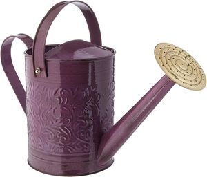L'arrosoir ultime pour le jardin Arrosoir parfait pour chaque maison - Product Image 1