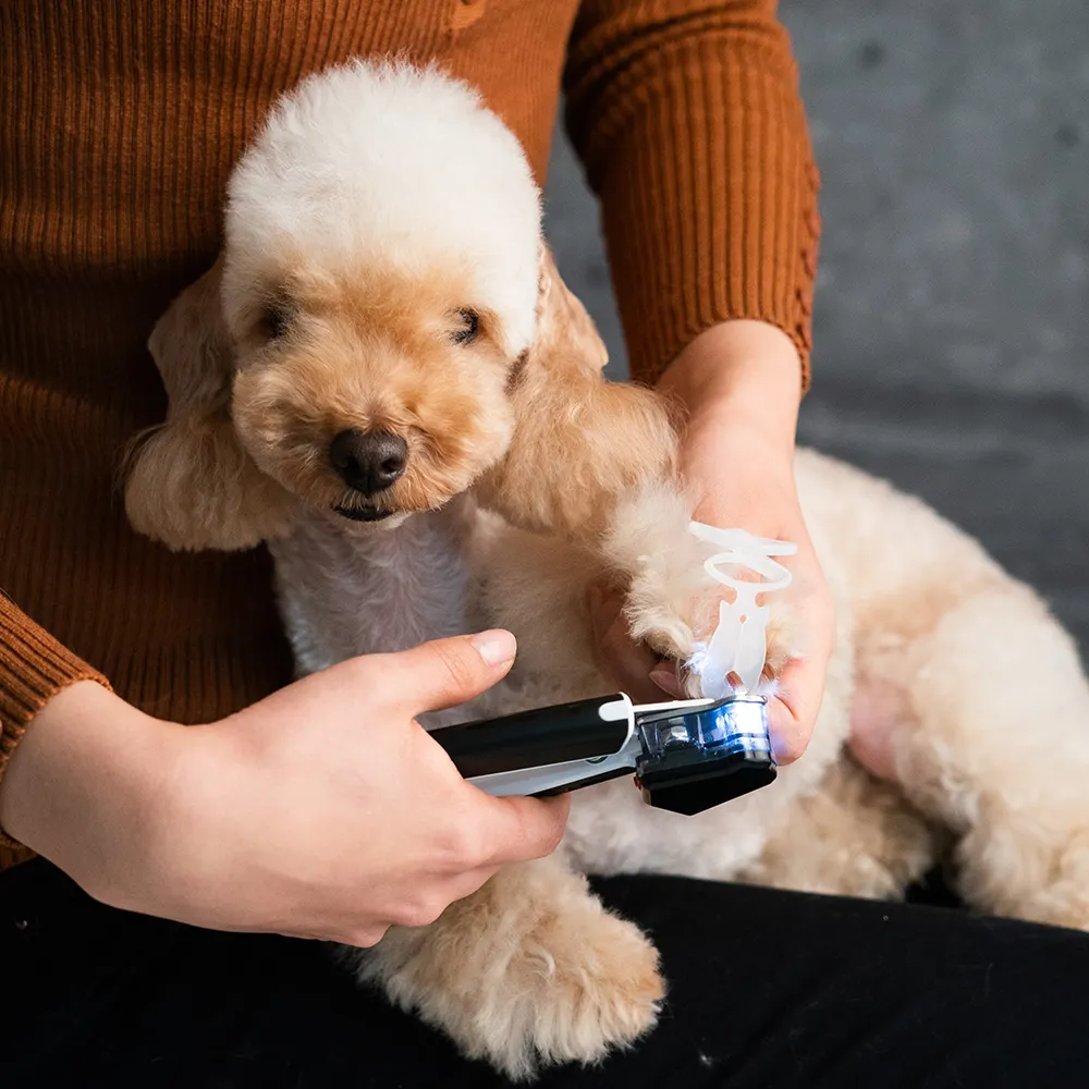 Suplemento em pó Feito em coreano WALKINN COM Lookut pro Grande Raça Dog Nail Clippers Cortadores De Unha De Gato