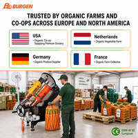 Machine automatique certifiée CE pour l'emballage en filet de légumes biologiques (brocoli, carotte, pousses), haute vitesse 30 sacs/min, qualité alimentaire