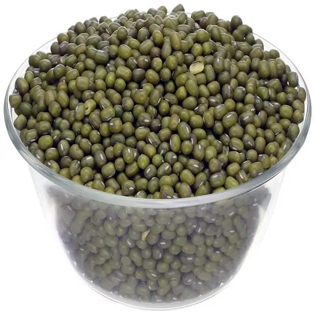 Frijoles mungo verde de buena calidad, precio al por mayor para exportación