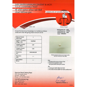 Perla Suelta de 2.87 Quilates, Perla de Basra - Product Image 4