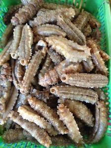 Premium Vietnamese Dried Sea Cucumber for Export - Product Image 6