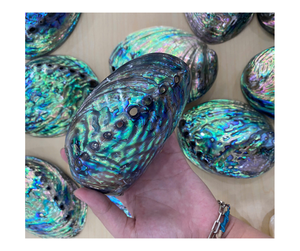Premium Vietnam <b>Abalone</b> <b>Shell</b> Export: Raw Luxury for <b>Abalone</b> <b>Shell</b> Decor & Jewelry Markets, Top Quality from Trusted Suppliers - Product Image 5