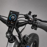 Vélo de montagne électrique à double moteur 2000W, batterie 48V 17.5AH, 26x3.0, vélo électrique tout-terrain haute vitesse
