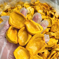 Topleverancier In Vietnam Hete Verkopende Natuurlijke Fruitproducten Bevriezen Knapperige Gedroogde Fruitjackfruit