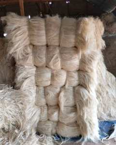 Fibre de sisal de qualité supérieure, écologique, fibre de sisal brute de haute qualité pour le filage et l'utilisation du béton - Product Image 3