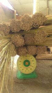 Escoba de Coco Natural Popular para Proyectos de Limpieza de Mercados y Áreas Públicas con Disponibilidad de Exportación Constante - Product Image 2