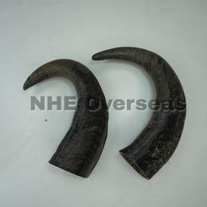 Strong Natural Buffalo Horn <b>Dog</b> Chews Premium Durable Safe Healthy Long Lasting <b>Treats</b> For Active <b>Dogs</b> And Daily Chewing - Product Image 6