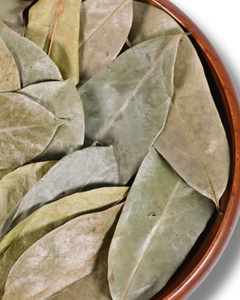 Hojas de guanábana secas naturales para té y uso herbal - Product Image 5